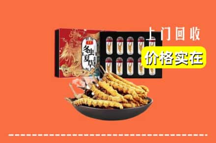 潍坊市青州回收冬虫夏草
