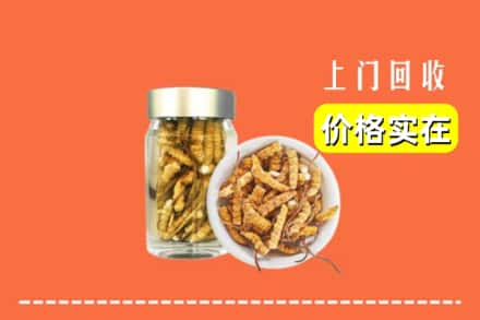 收购资讯:潍坊市青州回收散虫草