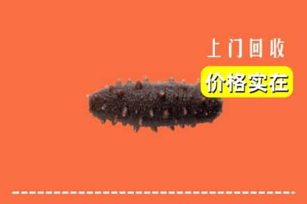 收购资讯:潍坊市青州回收海参