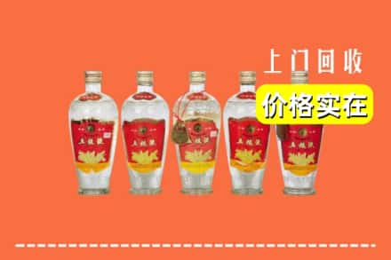 潍坊市青州回收老五粮液